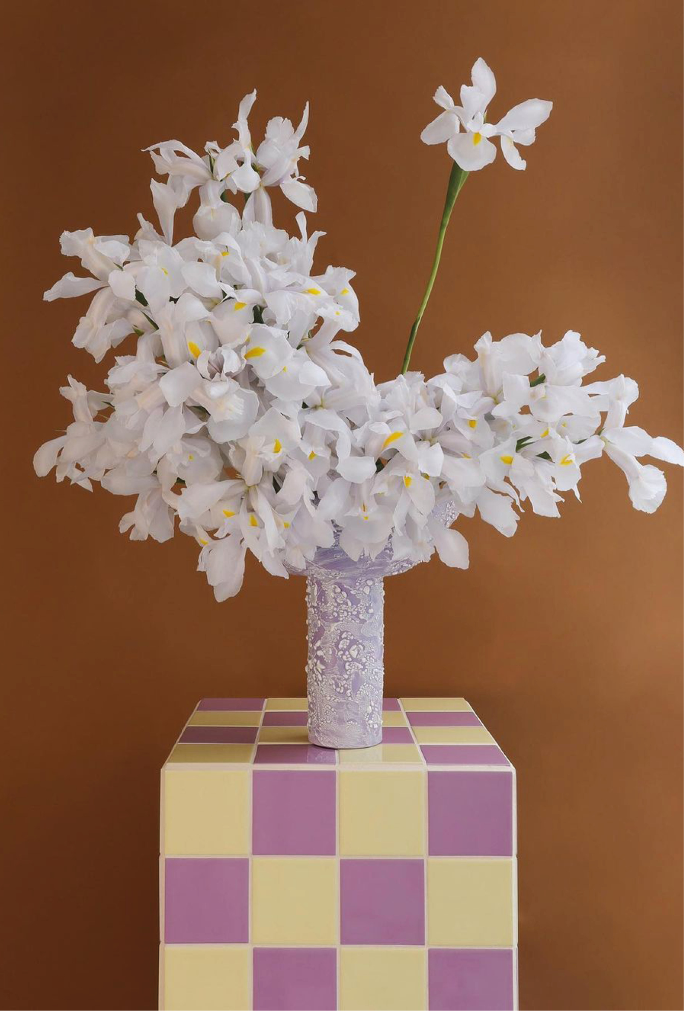 présentoir carrelage couleur vase fleur blanches